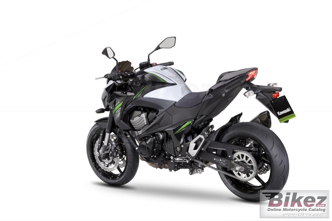 Kawasaki Z800 e version Performance