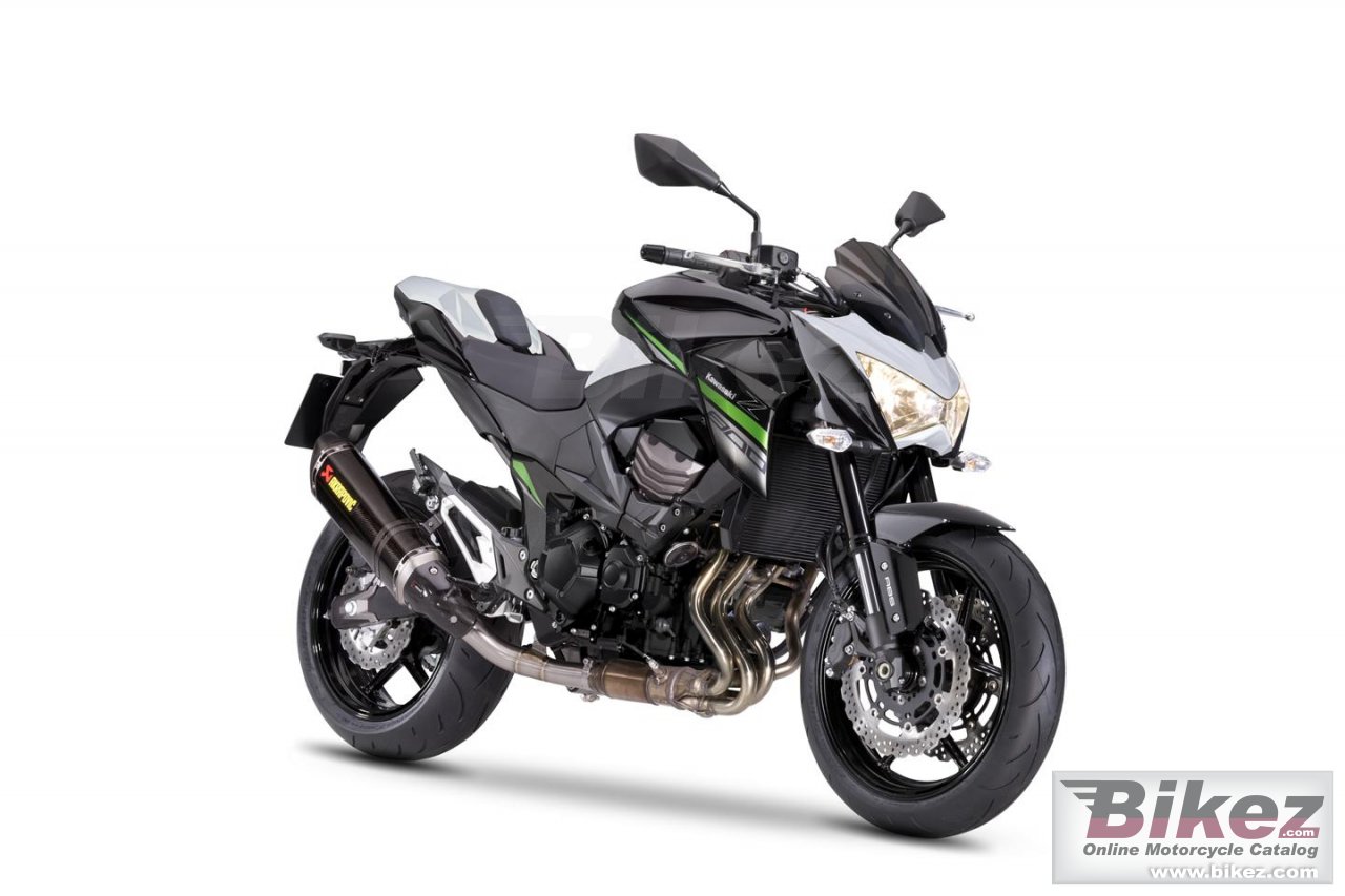 Kawasaki Z800 e version Performance