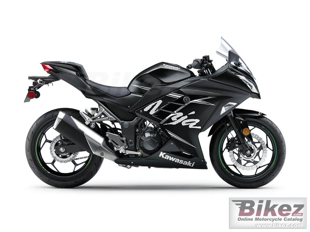 Kawasaki Ninja 300 ABS Winter Test Edition