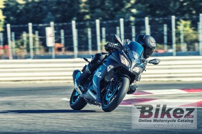 2017 Kawasaki Ninja 300 ABS Winter Test Edition
