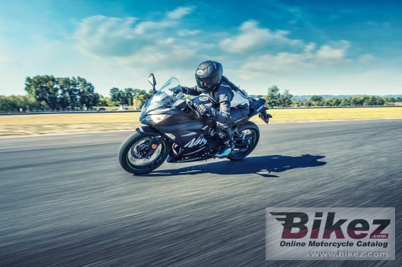 2017 Kawasaki Ninja 300 ABS Winter Test Edition