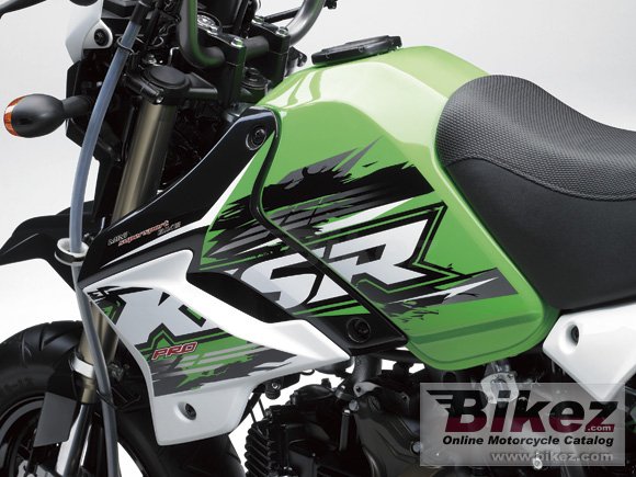 2017 Kawasaki KSR Pro