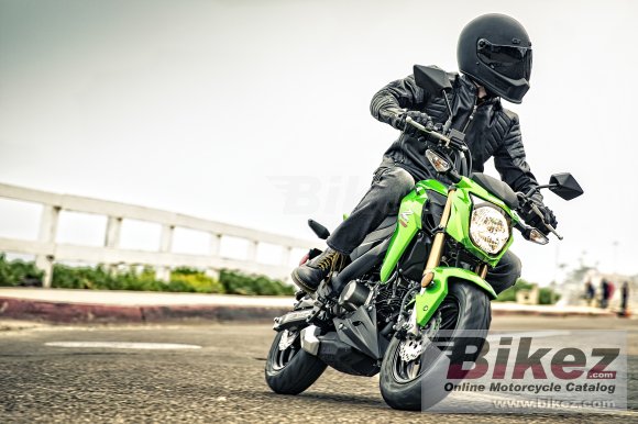 2017 Kawasaki Z125 Pro