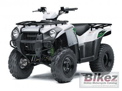 2018 Kawasaki Brute Force 300