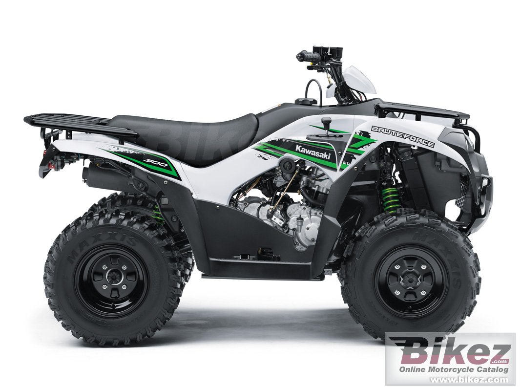 Kawasaki Brute Force 300