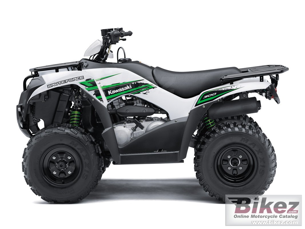 Kawasaki Brute Force 300