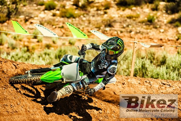 2018 Kawasaki KX 100