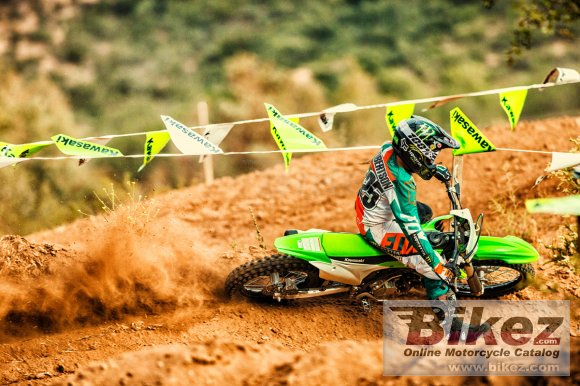 2018 Kawasaki KX 100