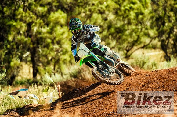 2018 Kawasaki KX 100