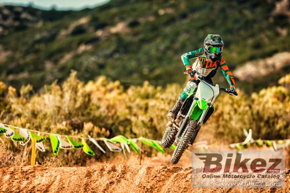 2018 Kawasaki KX 100