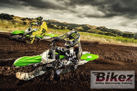 2018 Kawasaki KX 250F