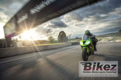 2018 Kawasaki Ninja ZX-6R KRT Edition