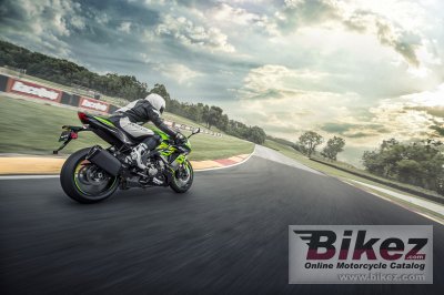 2018 Kawasaki Ninja ZX-6R KRT Edition