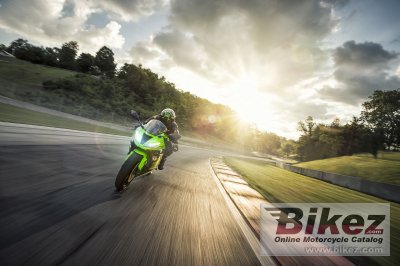 2018 Kawasaki Ninja ZX-6R KRT Edition