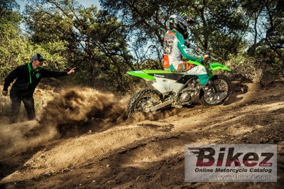 2019 Kawasaki KLX 140