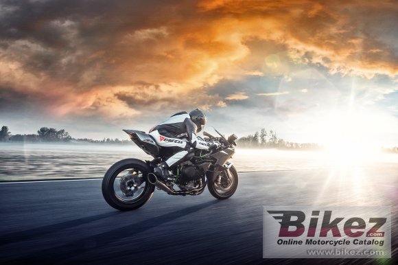 2019 Kawasaki Ninja H2 R