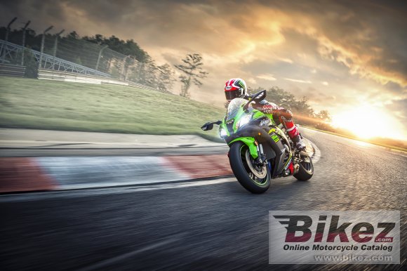 2019 Kawasaki Ninja ZX-10R