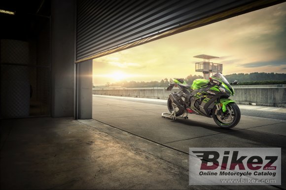 2019 Kawasaki Ninja ZX-10R