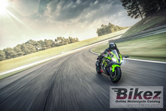 2019 Kawasaki Ninja ZX-10R