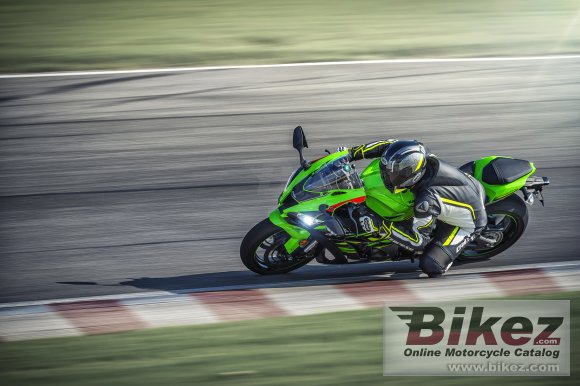 2019 Kawasaki Ninja ZX-10R