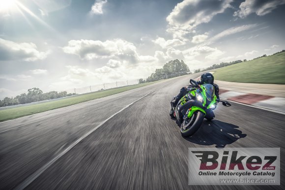 2019 Kawasaki Ninja ZX-10R