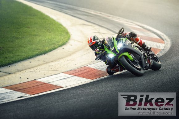 2019 Kawasaki Ninja ZX-10R