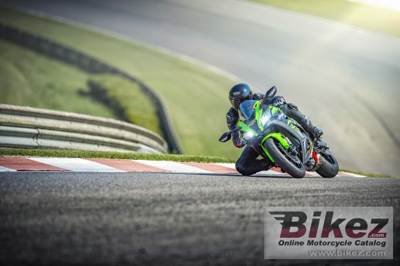 2019 Kawasaki Ninja ZX-10R