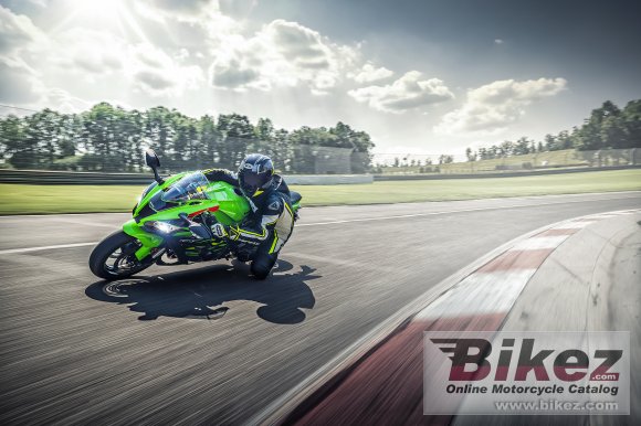 2019 Kawasaki Ninja ZX-10R