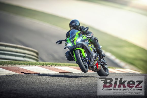 2019 Kawasaki Ninja ZX-10R