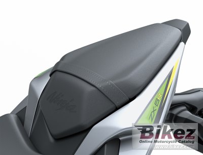 2019 Kawasaki Ninja ZX-6R