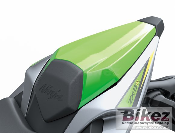 2019 Kawasaki Ninja ZX-6R