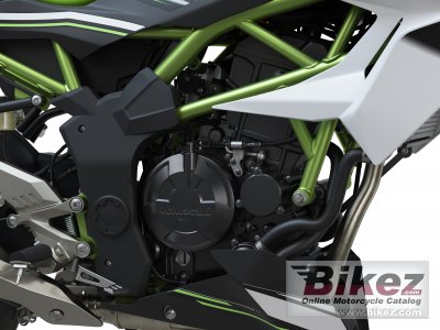 2019 Kawasaki Z125 