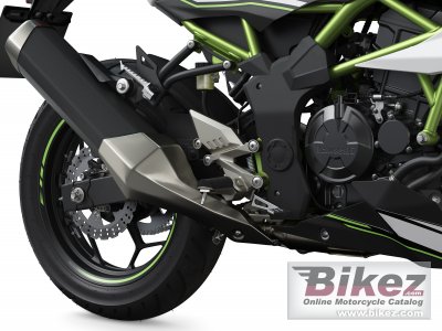 2019 Kawasaki Z125 