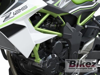 2019 Kawasaki Z125 