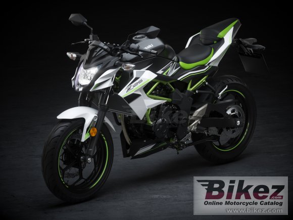 2019 Kawasaki Z125 