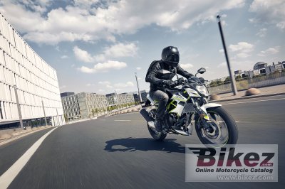 2019 Kawasaki Z125 