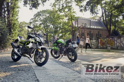 2019 Kawasaki Z125 