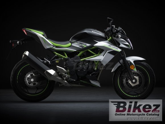 2019 Kawasaki Z125 