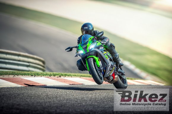 2019 Kawasaki Ninja ZX-10R KRT Replica