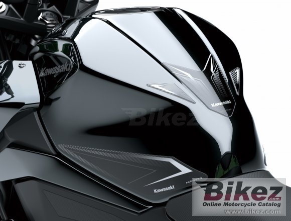 2019 Kawasaki Z 400 ABS