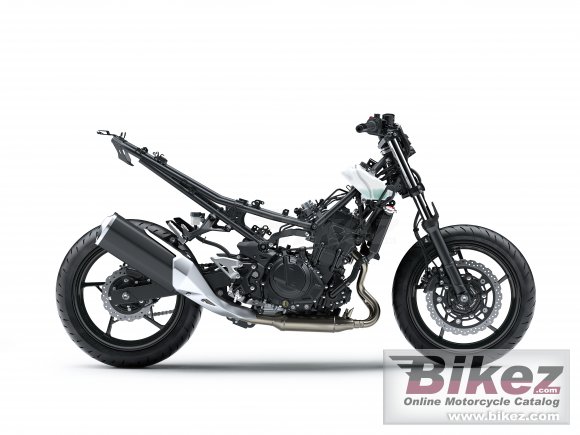 2019 Kawasaki Z 400 ABS