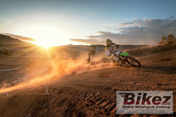 2019 Kawasaki KX250