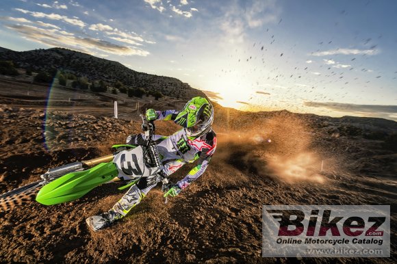 2019 Kawasaki KX450