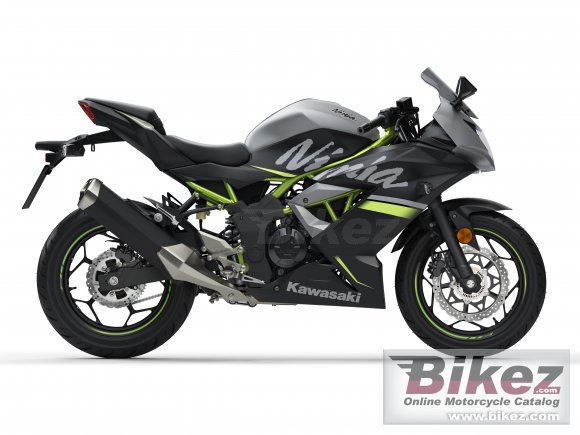 2019 Kawasaki Ninja 125