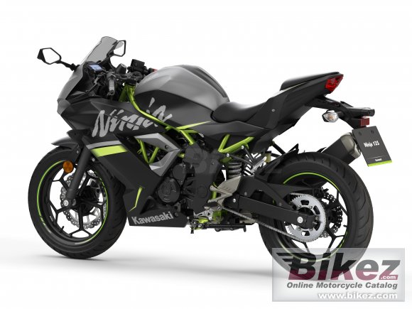 2019 Kawasaki Ninja 125