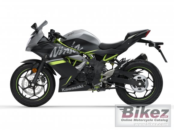 2019 Kawasaki Ninja 125