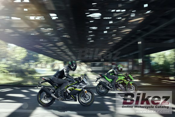 2019 Kawasaki Ninja 125