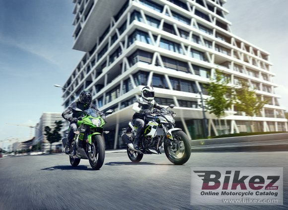 2019 Kawasaki Ninja 125