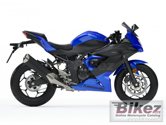 2019 Kawasaki Ninja 125