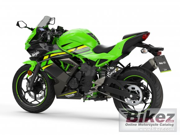 2019 Kawasaki Ninja 125